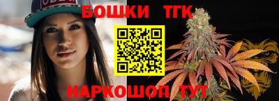 индика Гай