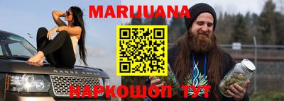 индика Гай