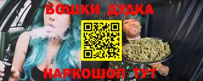 индика Гай