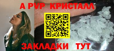 прущие грибы Гусиноозёрск