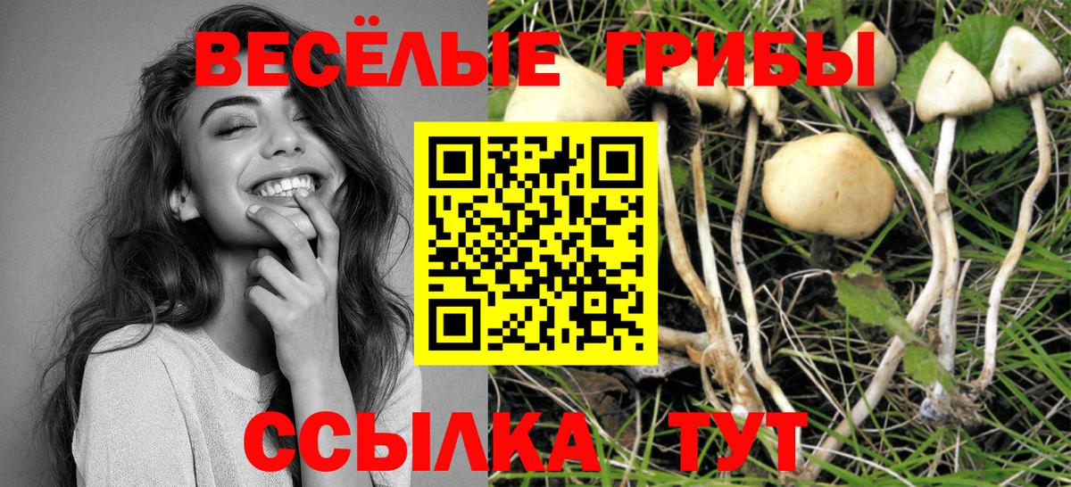 Можайск  Галлюциногенные грибы ЛСД  Вход с VPN 